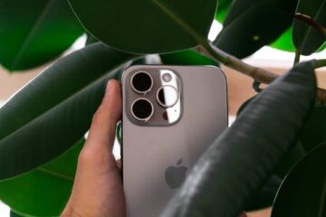 Un iPhone est tenu par une main, entouré de grandes feuilles vertes, mettant en valeur son design épuré.